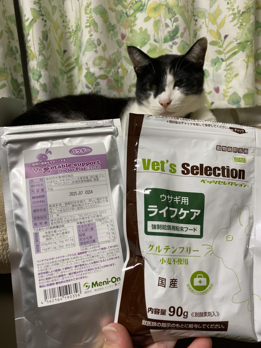 puipuioukoku_f's tweet photo. 【募集】

どてこの闘病時に使用していた下記をもし必要とされている方がいましたら無償でお譲り可能です。
()内はあくまで体感での残量目安です。
※開封済みとなります。

・ベジタブルサポート(80%)
・ライフケア(50%？)

2点ともor片方、どちらでも大丈夫です😌続きます。
【1/2】 https://t.co/RGcA6RN1RE