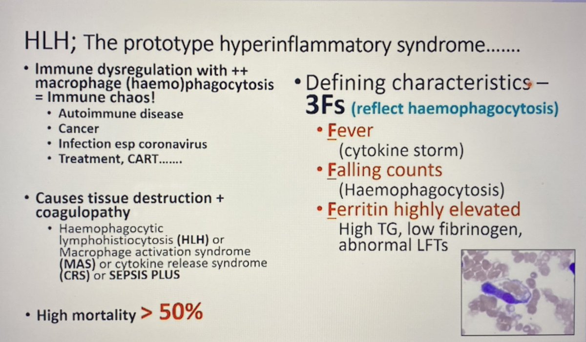 Macrophage Activation Syndrome #MAS #HLH
The 3 Fs
➡️ Fever 🌡️
- Due to Persistent activation of macrophages by other macrophages 
➡️ Falling Counts ⬇️
- Consumption by immune system. Plts usually first to drop
➡️ Ferritin highly elevated ⬆️
- Usually >10,000
#RheumTwitter #MedEd