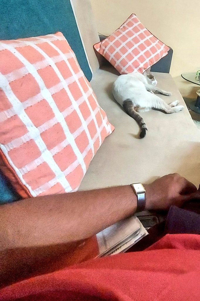 ouchh_potatoee's tweet photo. Netflix, Bobo &amp; Chill 🌟😃 https://t.co/yarMTdkIsH