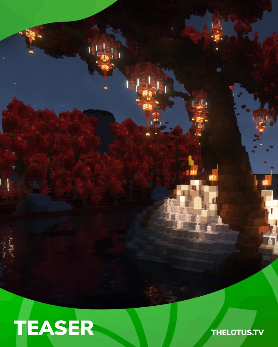 TheLotusBuild's tweet image. 