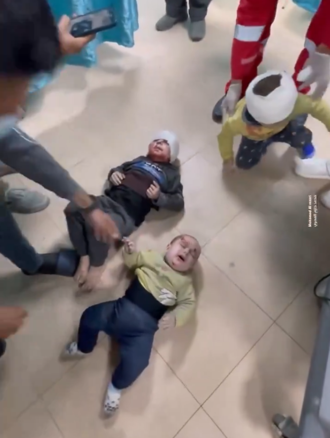 علي عادي | Ali Adi 🇮🇱 tweet media