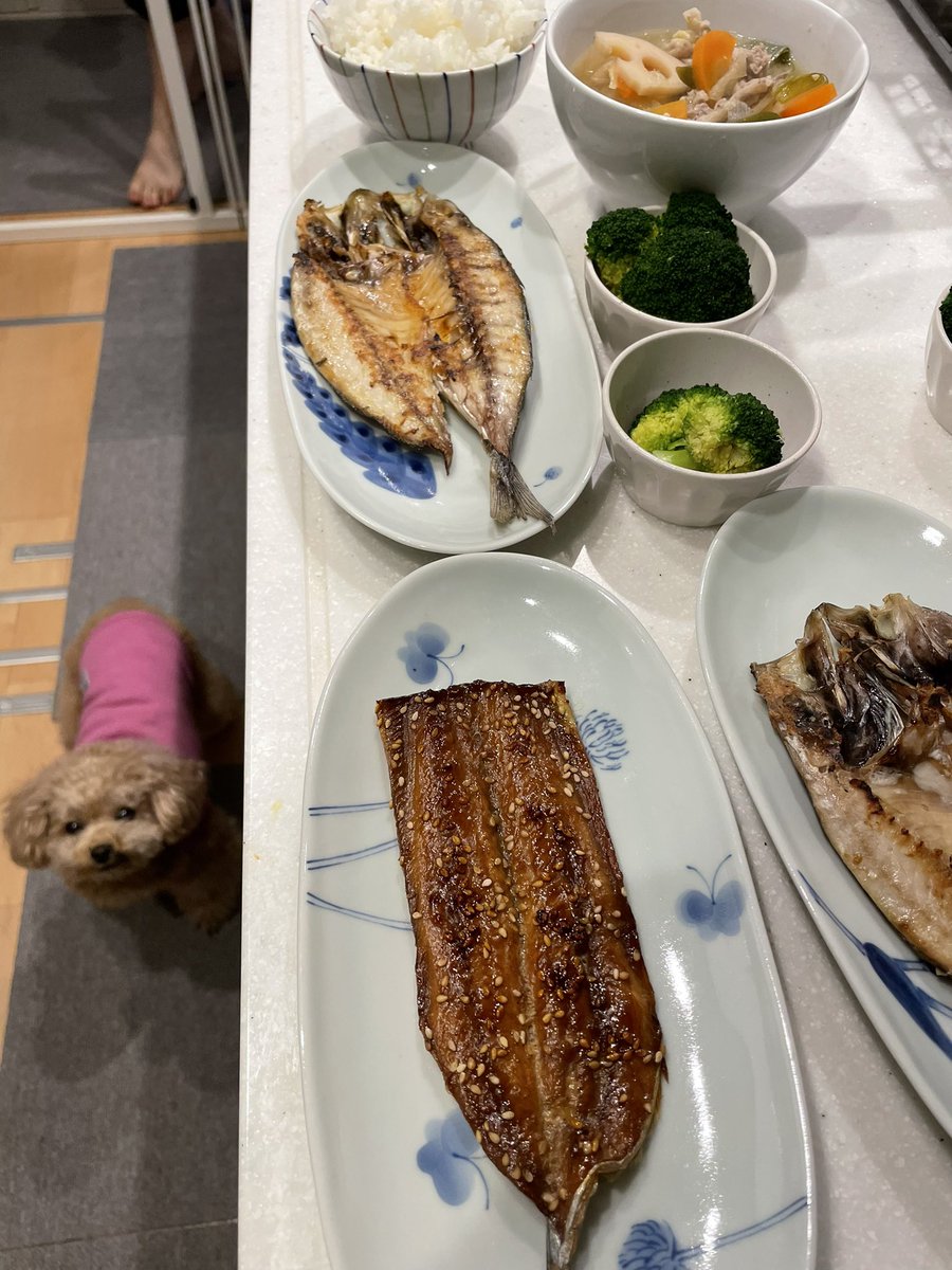 豚汁
あじの干物
さんまみりん干し
森
米
いぬ🐶