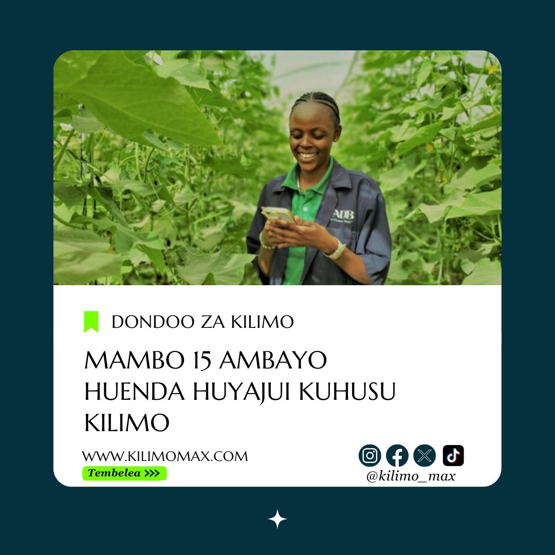 kilimo_max's tweet photo. Pata taarifa zaidi kupitia https://t.co/k66vo0VMSH https://t.co/Qd70WkDtbk