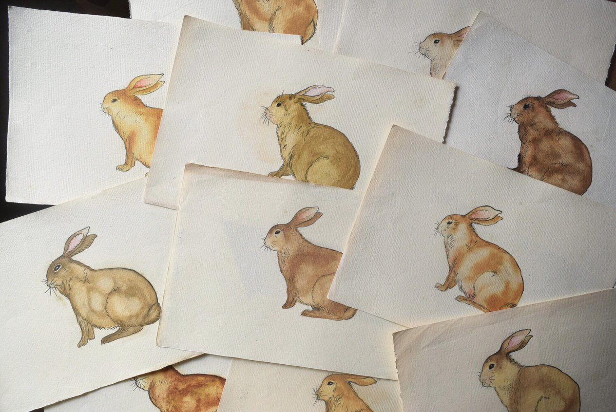 大正3年(1914年)頃 
師範学校の女子生徒たちが描いたうさぎ(臨画)