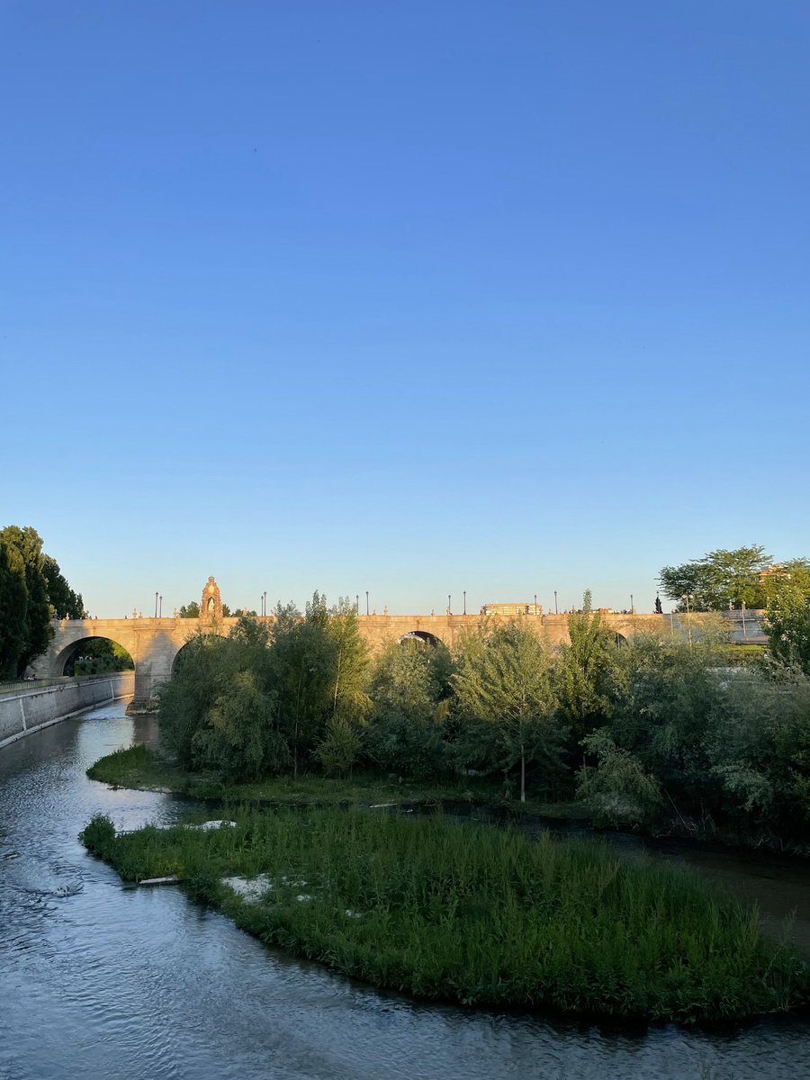 Vivo desde hace 5 años muy cerca de Madrid Río, cada día paseo al perro por allí, y ha sido una pasada ver cómo se iba convirtiendo en un entorno natural tan vivo. 
Por eso me cabrea tanto que el capricho de <a href="/AlmeidaPP_/">José Luis Martínez-Almeida</a> ponga en riesgo un entorno tan valioso. 
#NoALaMascleta