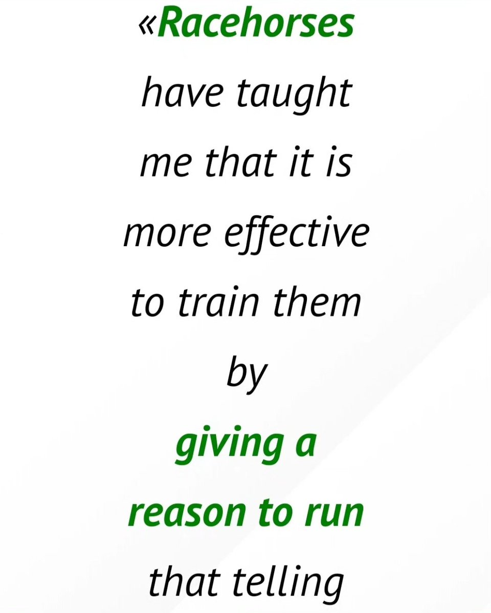 Hipotour tweet media