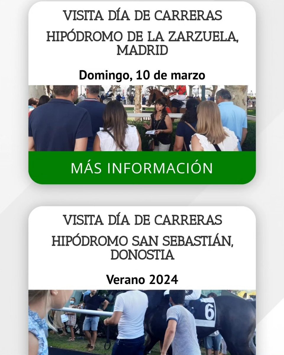 Hipotour tweet media