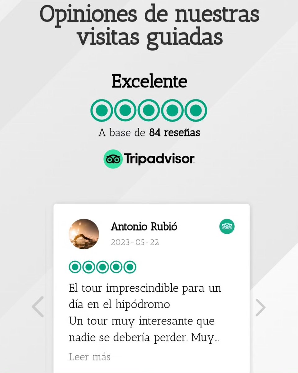 Hipotour tweet media