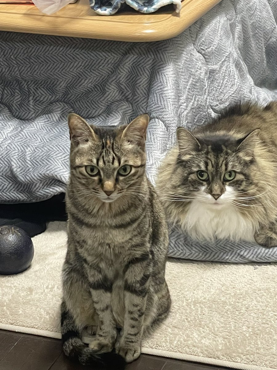 久しぶりの投稿