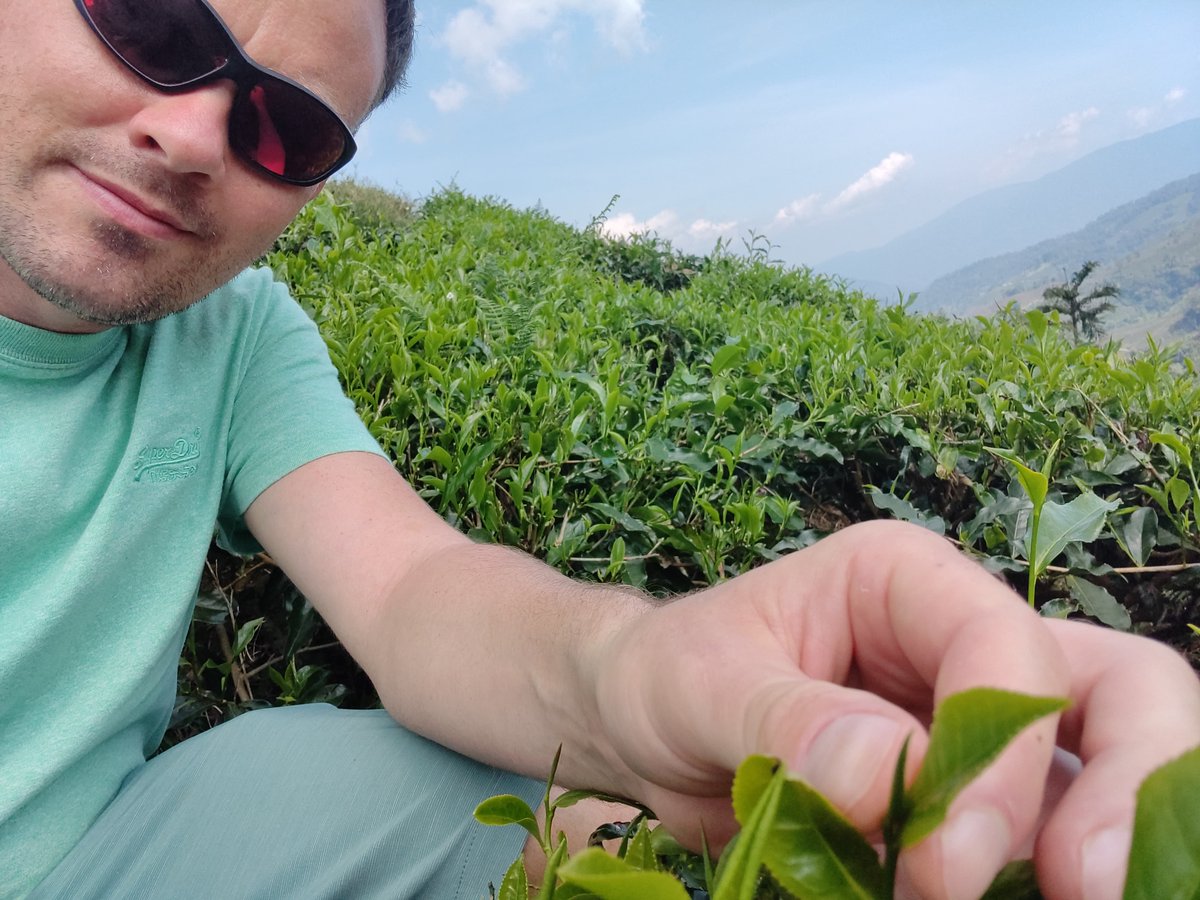I love tea! Even imported our favourite brand from home during 18 years in the UK. Recently ran out while traveling, turned it into an adventure – visited a tea plantation in Malaysia. Factory tour, leaf-to-cup process, and a tea stash for months. 🍵 #BOHtea #CameronHighlands