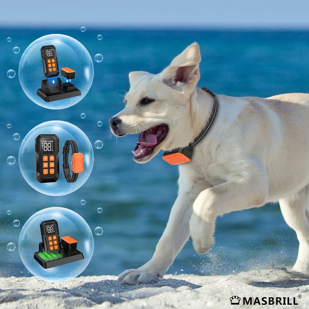 Masbrill_World's tweet photo. In the new year, Masbrill will actively develop more new products.✌️✌️✌️
https://t.co/nrwsmUoVZx
#Pets #pet #petportrait #petfriendly #petsupply #petsupplier #petsupport #dog #dogs #doglover  #puppys #puppylove #puppylife #puppygram #animals #Masbrill #PuppyLove #FurryFriends https://t.co/fGFX4ofP0e