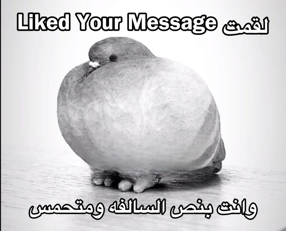YupimSaud's tweet image. 