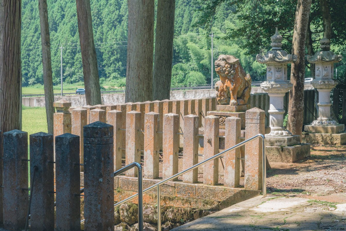 Akine Coco tweet media