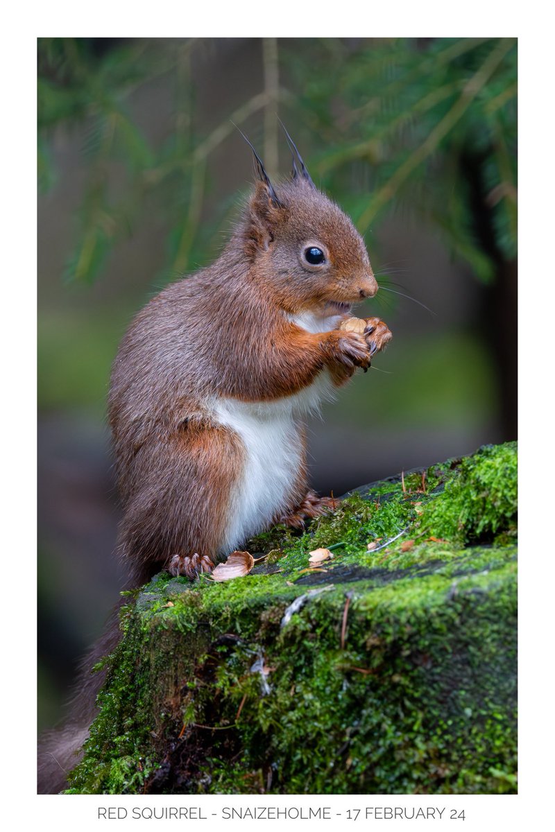 Dedicated to Milo the most recent arrival in the Rowland family <a href="/loz89/">Lauren Rowlands</a> <a href="/serudd1960/">Susan Rudd</a> <a href="/LukeRudd84/">Luke Rudd</a> <a href="/ZachRudd_/">Zach Rudd</a>