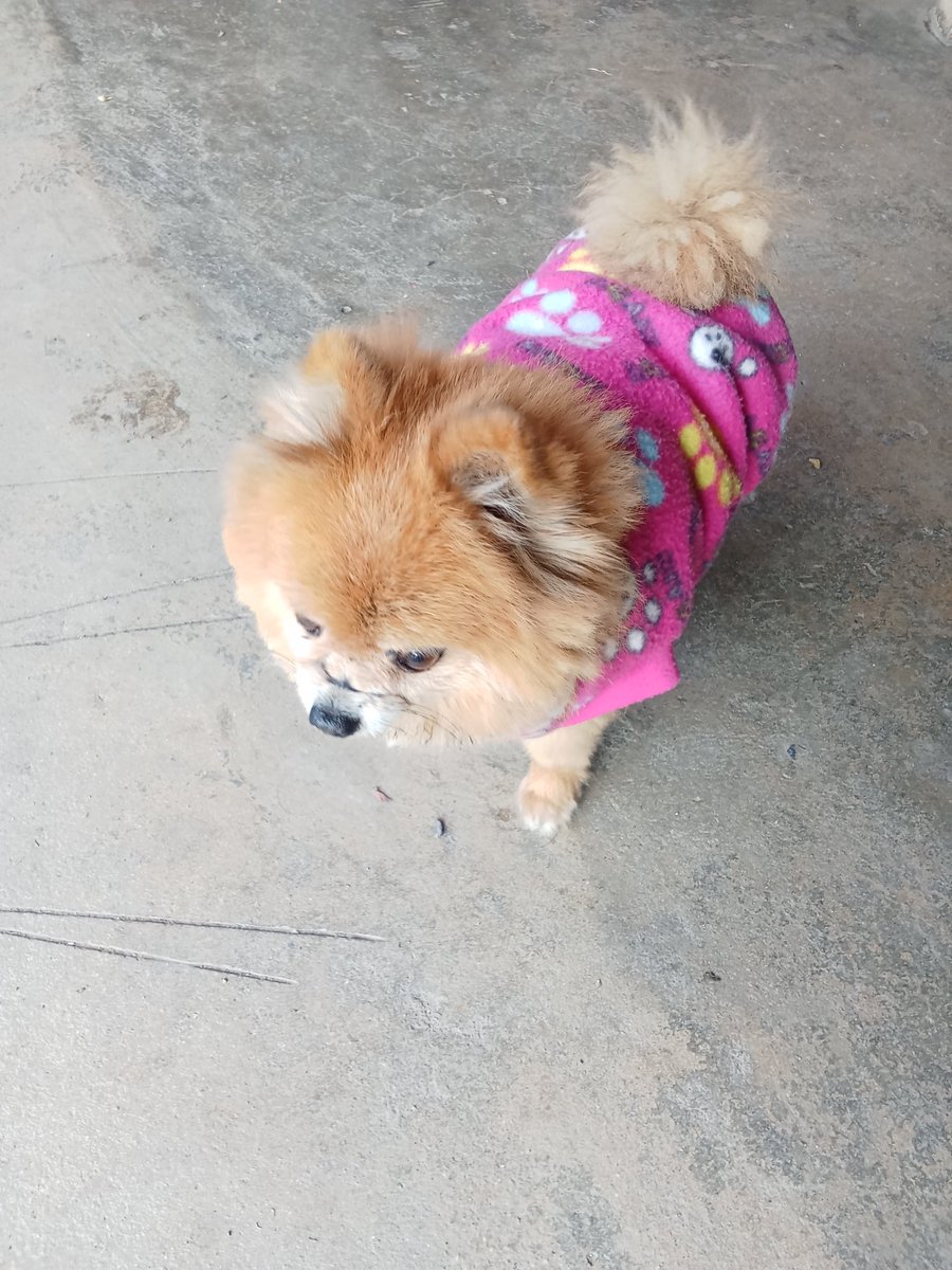 ตัวไหนน่ารักว่ากัน