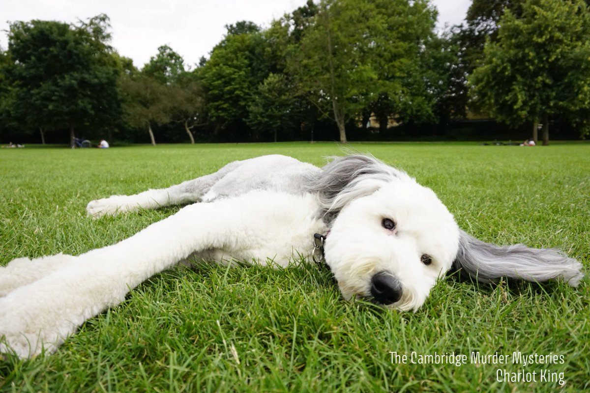 Charlot King tweet media