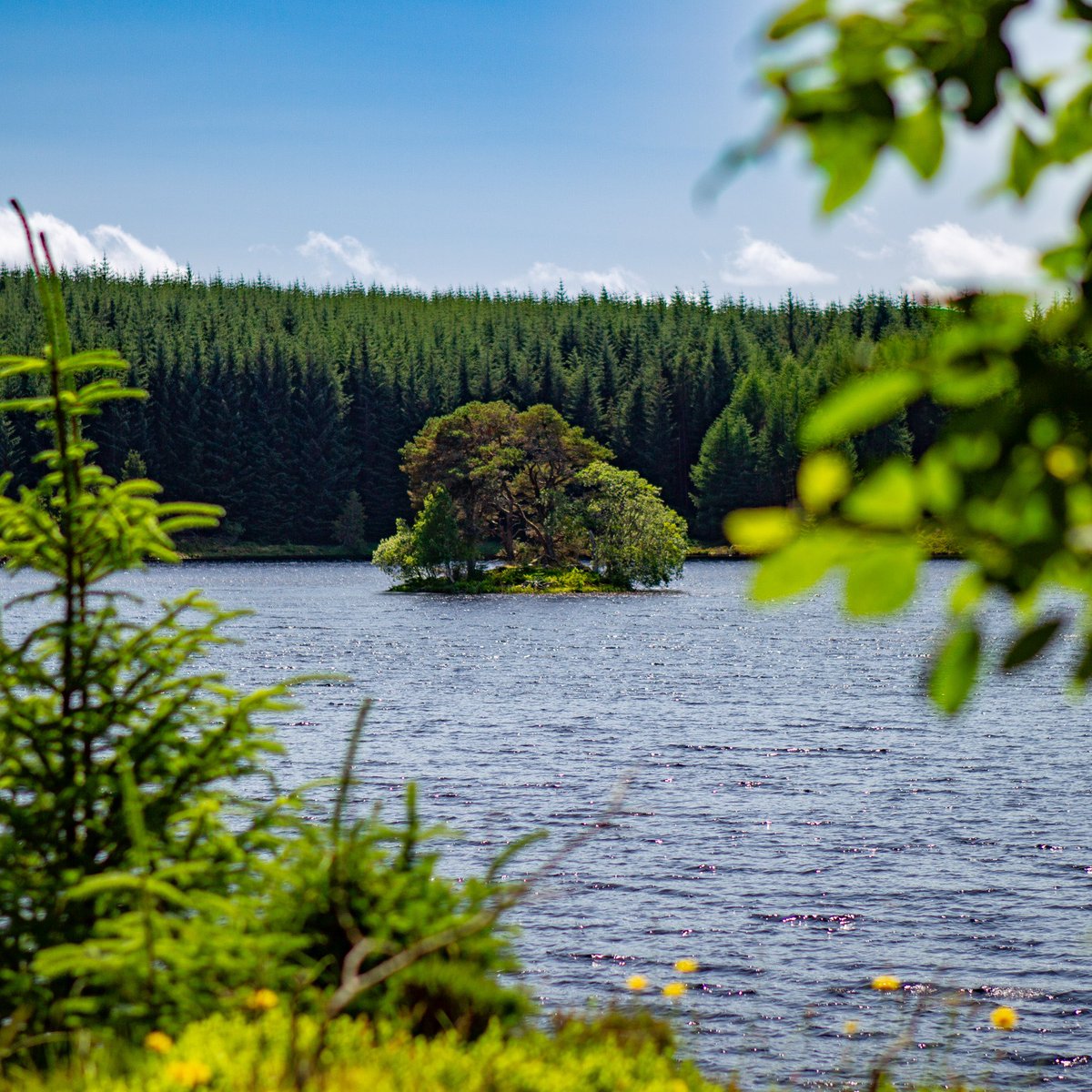 Sunday morning &amp; the sun is shining🌞🍃🌻
Head out to explore #Aberfeldy &amp; our outstanding area… then pop along to <a href="/MonessResort/">Moness Resort</a>, serving #Scottish breakfast, light lunch, afternoon tea &amp; dinners, open all day every day!

#VisitAberfeldy #RespectProtectEnjoy #Perthshire #Sunday
