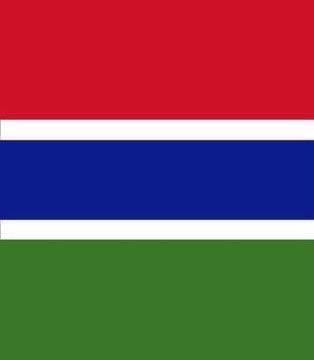 Lamindaboe4's tweet photo. The Flag                                      The Face https://t.co/jrVqCtja8H