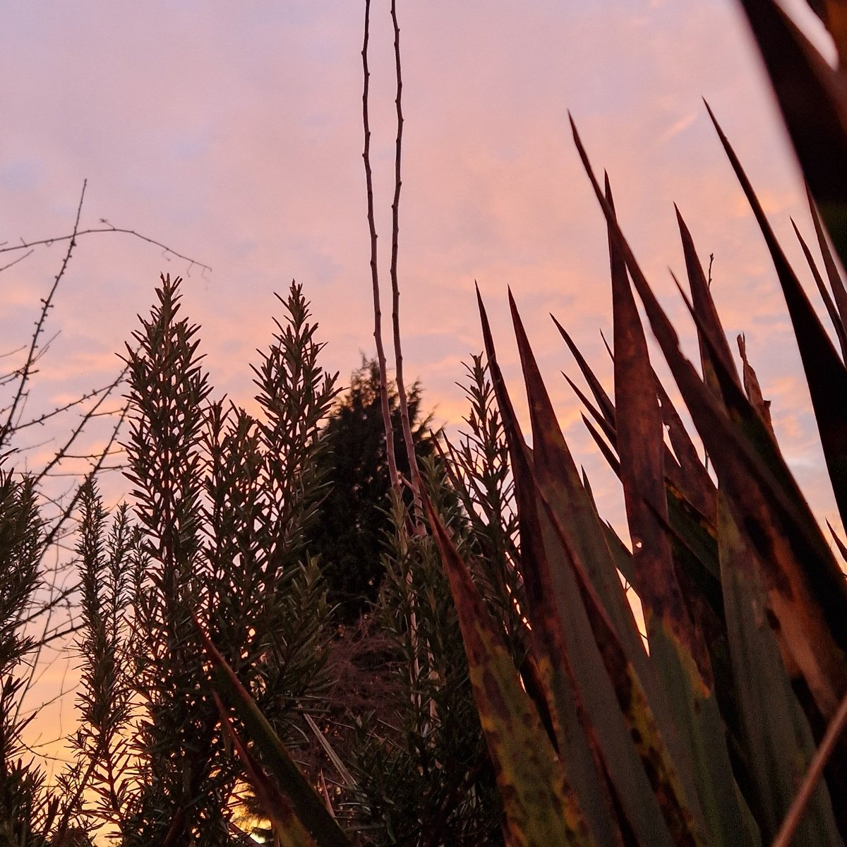 thefallowfields's tweet image. We are open today from 12. Can you spare a couple of hours? The plan is to get the food growing area ready for this year's growing season. Any help would be much appreciated. Get in touch or just turn up.