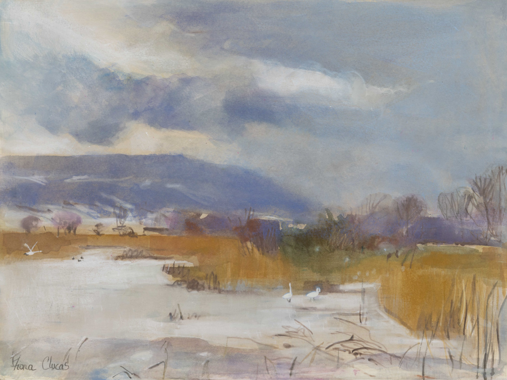 TheLakeArtists's tweet image. Lake Artist Fiona Clucas is showing with Derek Robertson  at The Scottish Ornithologists' Club Aberlady, nr Edinburgh
28 Feb - 14 April
Wednesdays-Sundays 10am-4pm. free entry.
 #SWLA #Halecatarts  #ScottishWildlifeTrust #mixedmedia