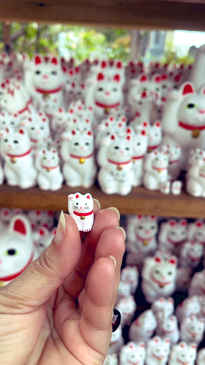 LyfInTransit's tweet photo. I’m not a cat person but one of the reasons I’m currently in Japan is to visit as many shrines/temples as I can. Visited cat temple in Tokyo today.
#gotokujitempke #magicOfTokyo
Thanku @Ruchira_Shukla for sharing the write up abt this Buddhist temple.
https://t.co/vo7zsRdyfY https://t.co/QaUZCHjJIs