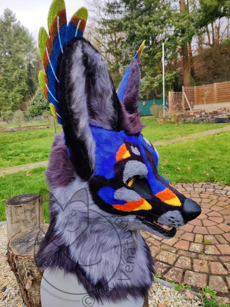 Venâtura tweet media