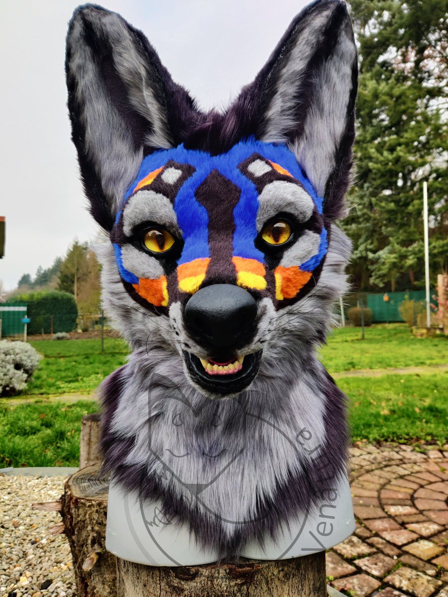 Venâtura tweet media