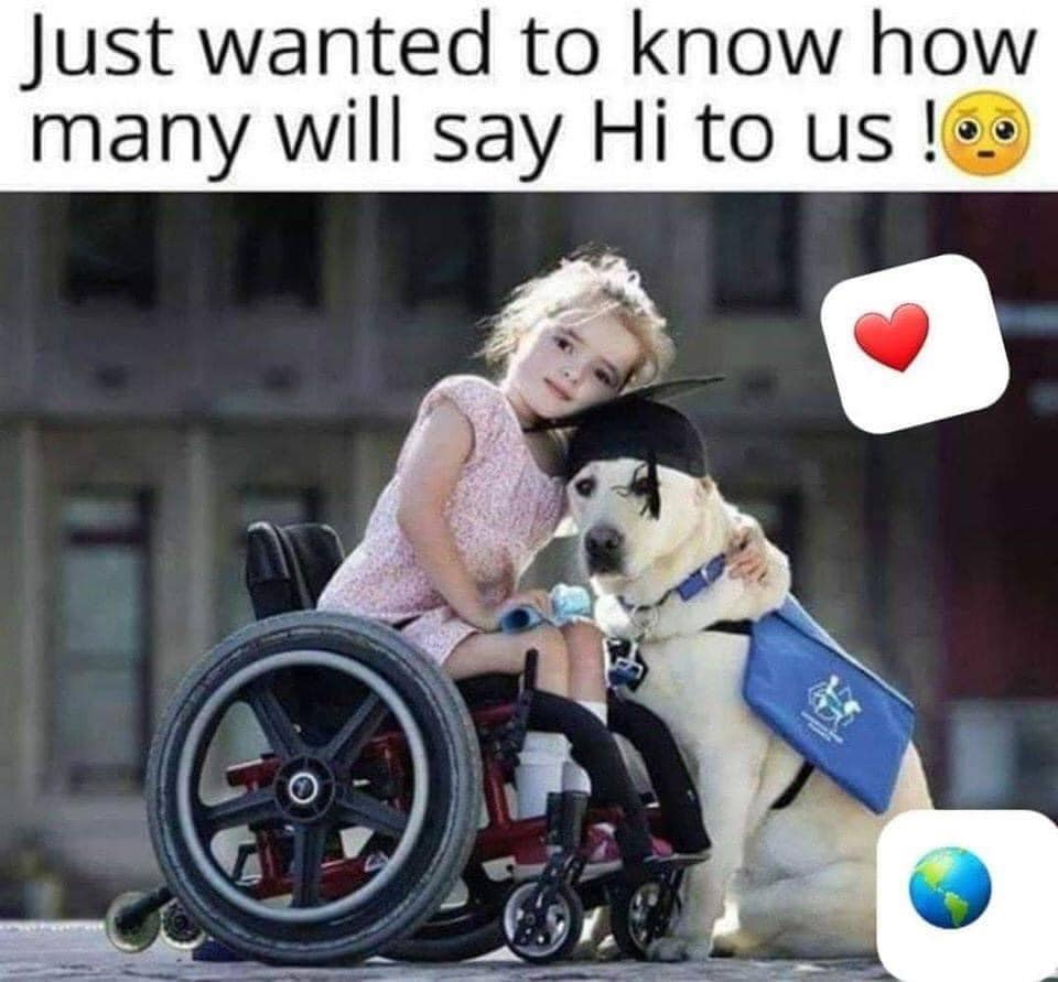 Tweets of Dogs tweet media