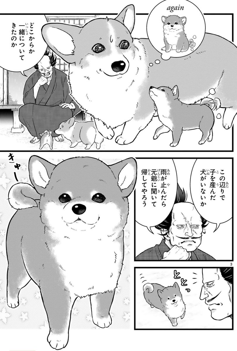 (1/4) 
