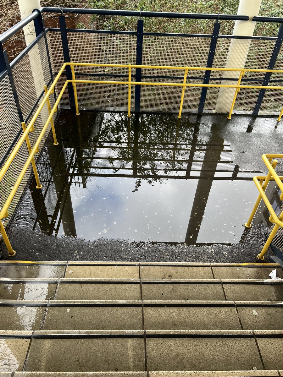 Simon Goldring tweet media