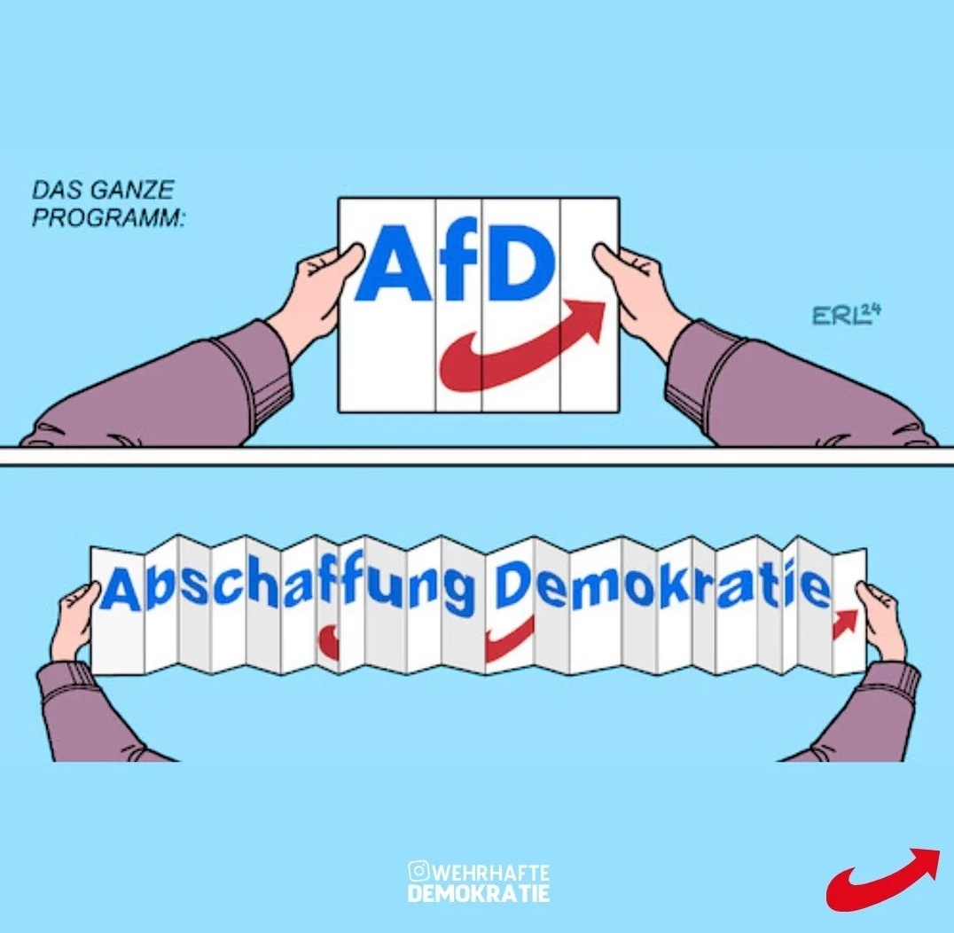 Einfach mal das Parteiprogramm der #NaziAfD lesen...