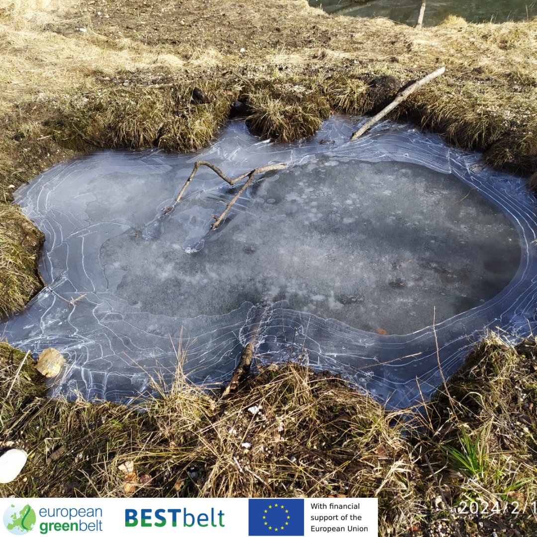 ReteItalia_EGB's tweet photo. February surveys onour #EUfunded #BESTbeltproject sites in Lusevera. How beautiful the five ponds we recently cleaned up, resting under a thick blanket of ice! We look forward to the arrival of spring! https://t.co/6a1iMuI4D8