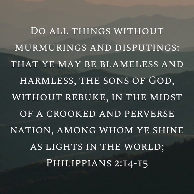 TanasTim's tweet image. 