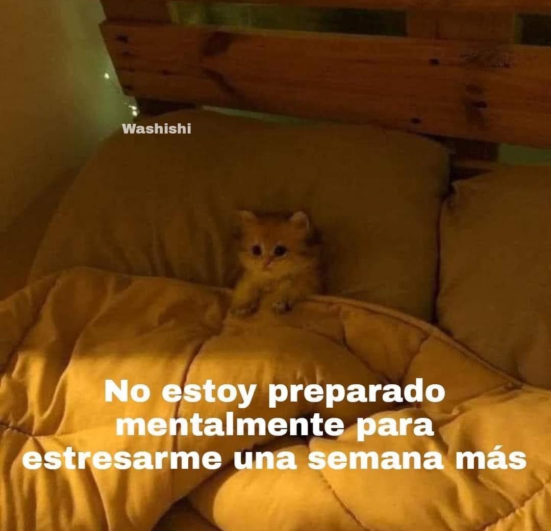 Mood