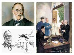 Un día trascendente en la historia de las Ciencias en #Cuba: en 1881, Carlos J. Finlay expone su tesis sobre el mosquito como agente trasmisor de la fiebre amarilla. #CubaEsCiencia
#CubaViveEnSuHistoria 
#DeZurdaTeam