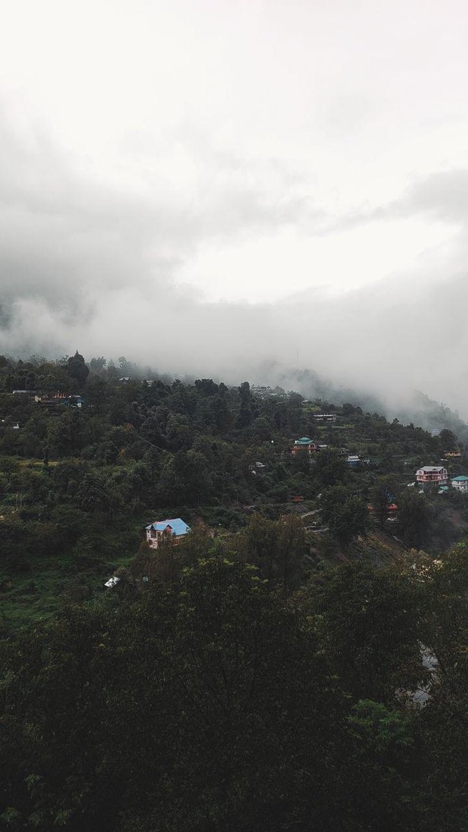 Such a peaceful view for these eyes 💞 
#banjar #kullu #Himachal #fog #rainyweather #rainfall