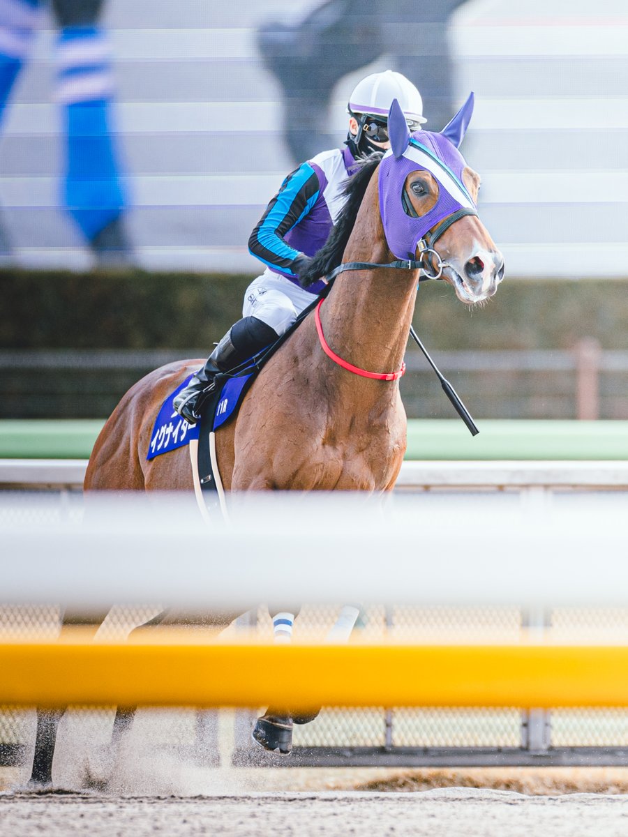 イグナイター × 西村淳也 騎手
2024/2/18 フェブラリーステークス