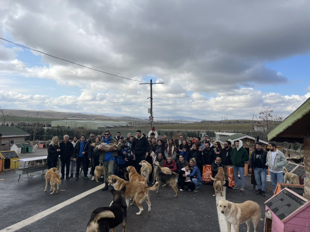 Patiliköy ülkenin barınakları içindeki gururudur. Bunca insan geliyor. Her hafta dolup taşıyor. Evet gerçeğiz herkes şahit.. ülkenin en iyisiniz en şeffafı en başarılı barınağınız ❤️❤️❤️❤️