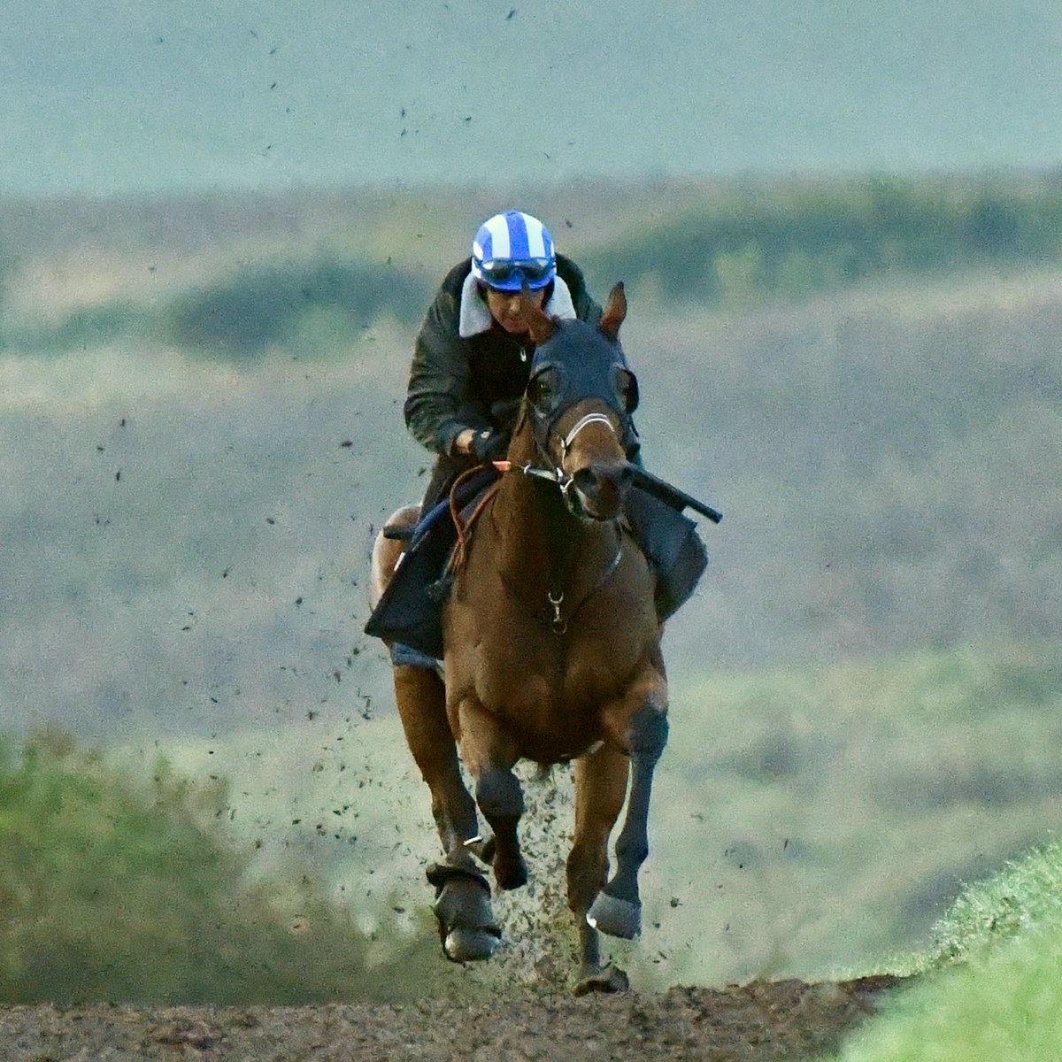 Leap Abroad (Gregorian ex Norfolk Broads) races at Kempton today in the Unibet More Boosts In More Races Handicap (due off at 7.30 p.m.) Jockey David Probert is aboard for this 6 furlong contest.