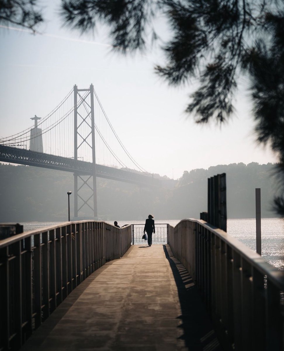 Photographers show us your best morning shots 📸