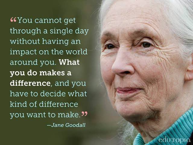 As Jane Goodall tells us, we can ALL make an impact on this planet. 🌿Avoid single use plastic 🌿Switch to renewable energy 🌿Compost regulary/reuse food scraps 🌿Eat less meat 🌿Take shorter showers 🌿Walk and ride a bike more 🌿Spread awareness #ClimateAction #PlasticFree