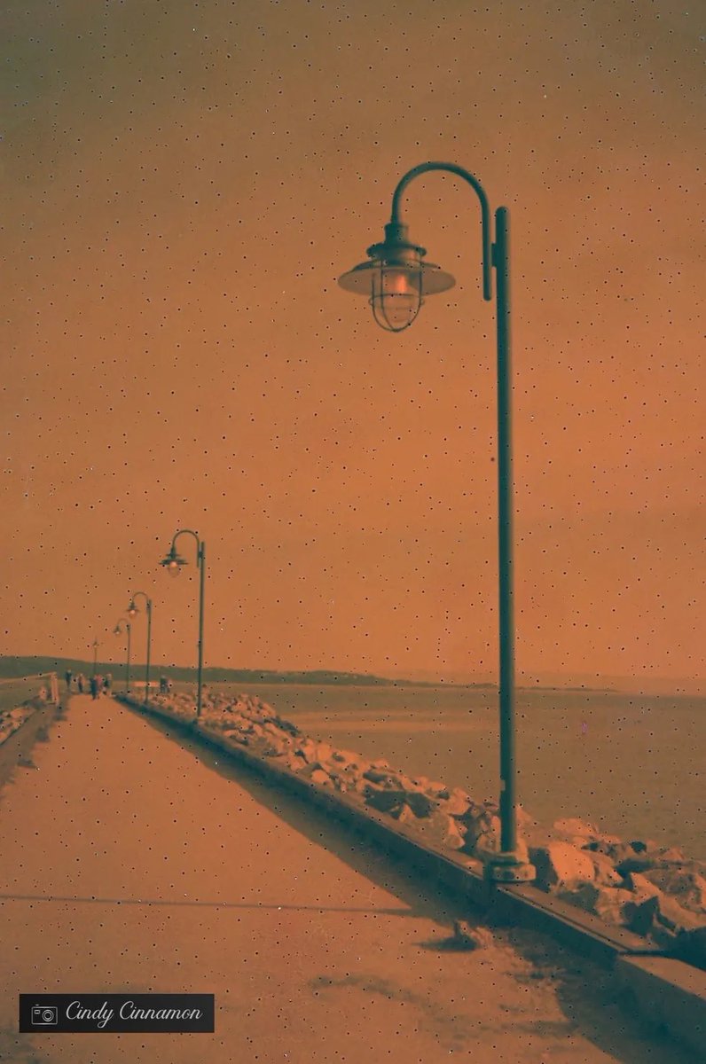Cindy_Cinnamon's tweet photo. Cindy Cinnamon Photographie
https://t.co/g7SV9JrYvu
Rollei 35
Rare China Seagull Color - Expirée en 1990
#ExpiredFilmClub #SlowIso #RareFilm #SuperSlowFilm #Rollei35 #SeagullFilm #SeagullColor #ColorFilmExpired #ExpiredFilm #LomoSapiens #Quai #BaieSaintPaul #Charlevoix #Canada https://t.co/MARGm9x3T4
