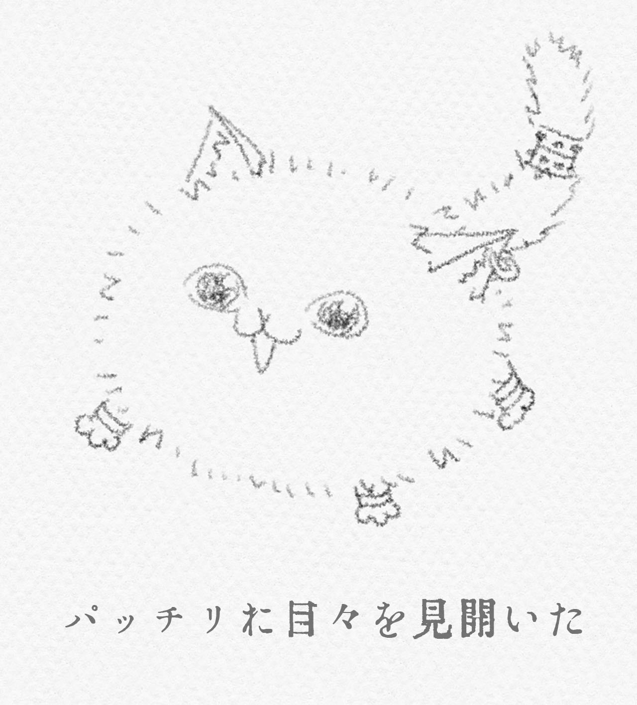 ミル⌘ミル (@millmill0818) / X