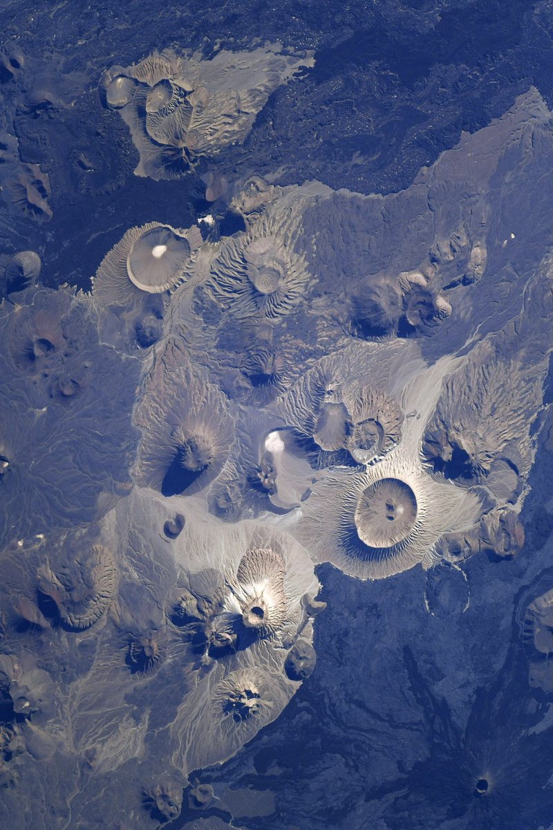 Andreas Mogensen tweet media