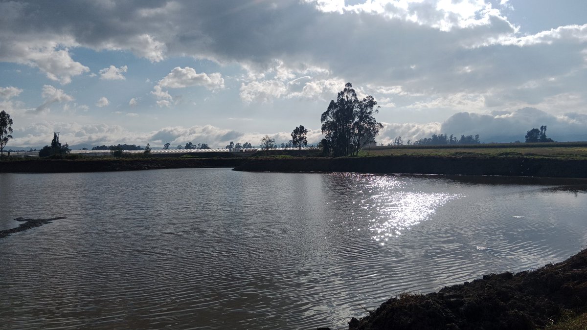 JRodrigud's tweet image. 