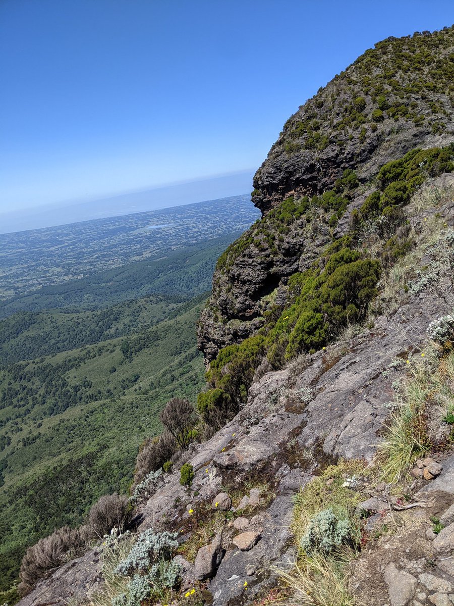 ebmurha's tweet photo. Views from the top of Elephant Hill. Hike stats: 19km in ~6 hours. 3,658m asl. Elevation gain 1,189m. https://t.co/k5q3SZS3JV