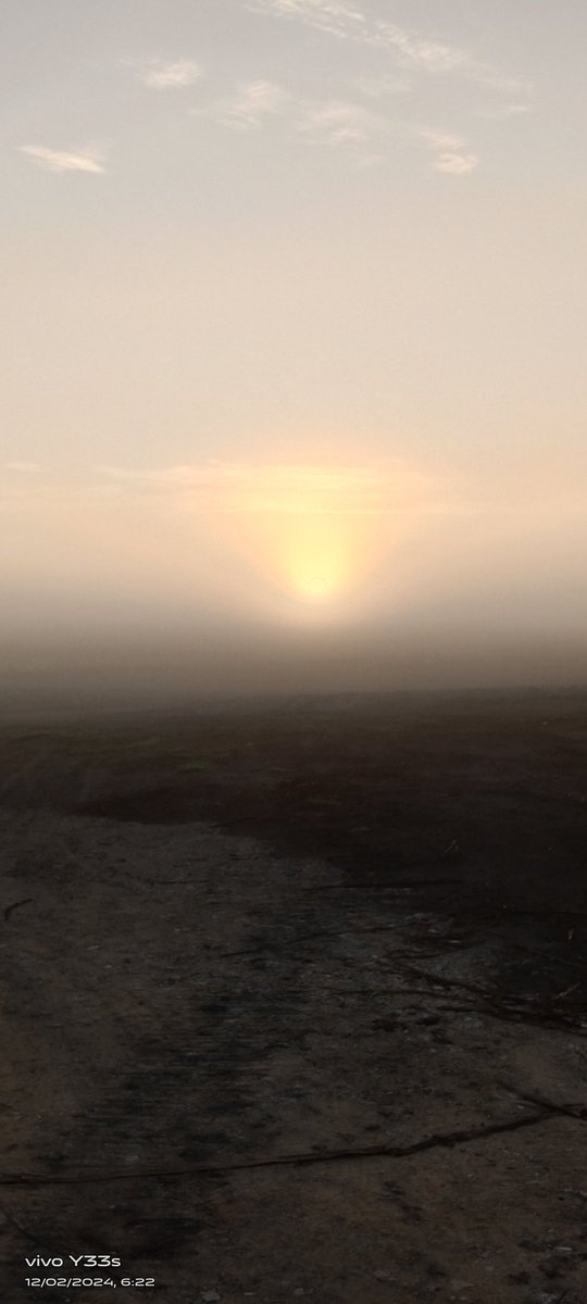 JRodrigud's tweet image. 