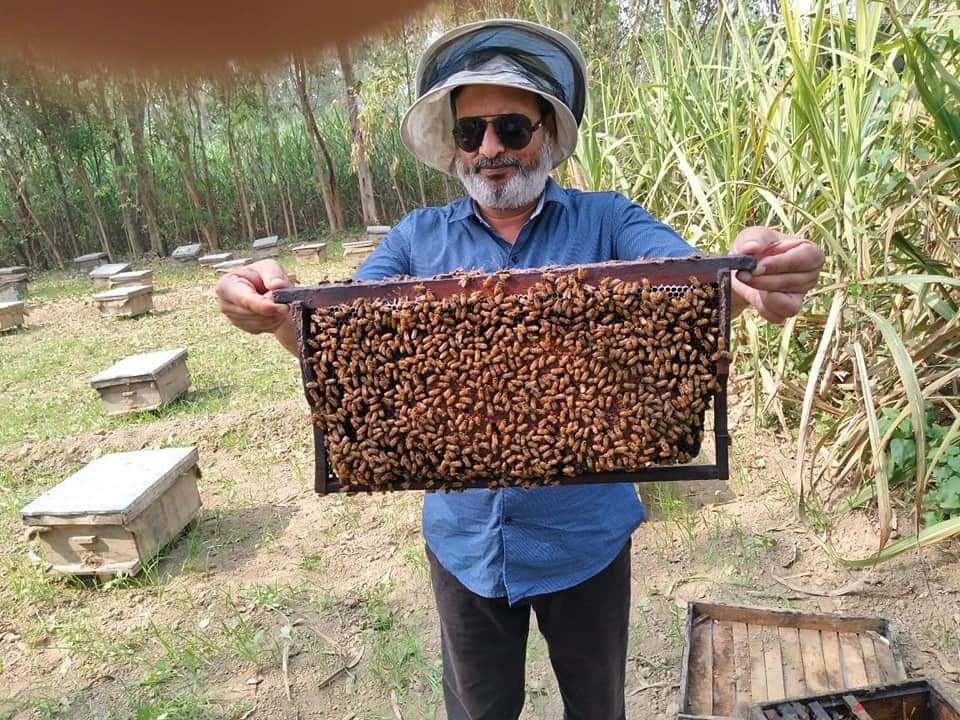 FabaHoney's tweet image. Natural Raw #Honey from our #apiaries are called #FabaHoney 🍯🍯🐝🐝🍯🍯🐝🐝

#FaBA: Flora and Bees Apiaries . 

#फाबा : ?😊?😊