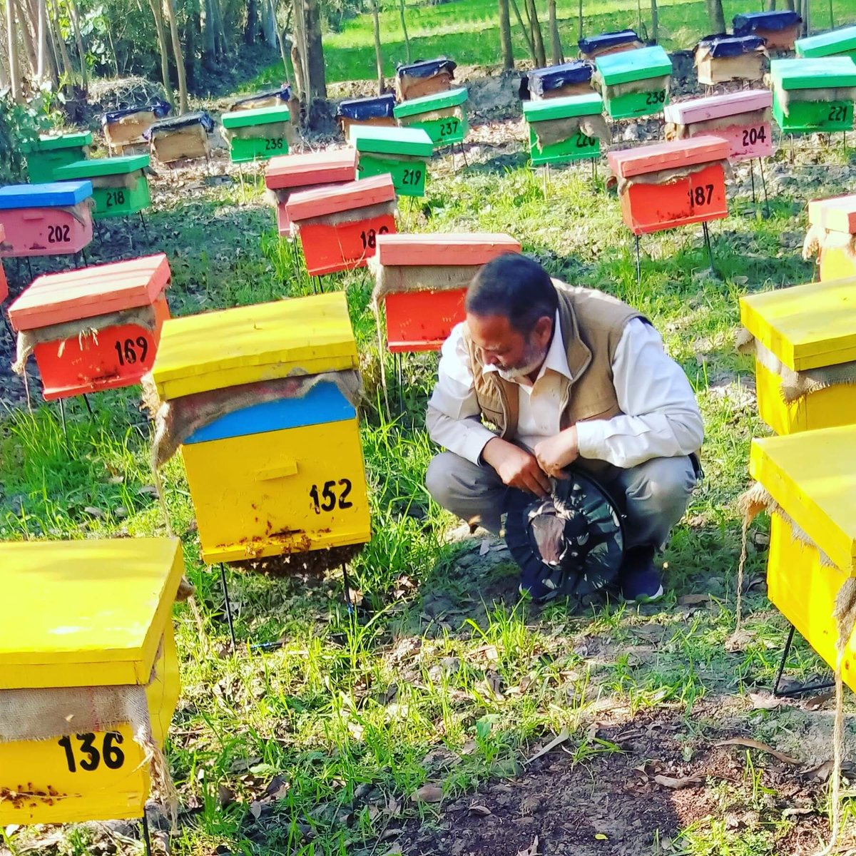 FabaHoney's tweet image. Natural Raw #Honey from our #apiaries are called #FabaHoney 🍯🍯🐝🐝🍯🍯🐝🐝

#FaBA: Flora and Bees Apiaries . 

#फाबा : ?😊?😊