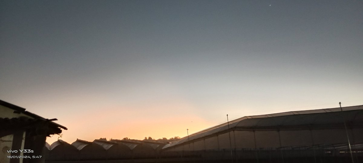 JRodrigud's tweet image. 